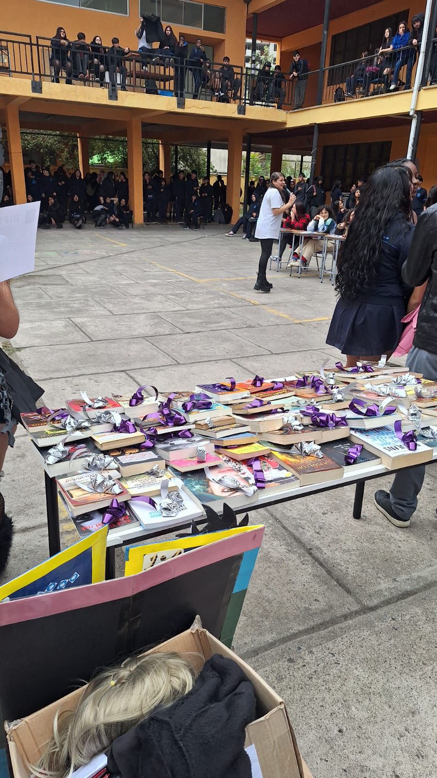 donacion liceo